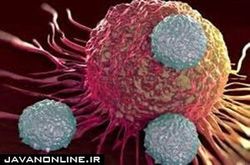تاثیر میکروب‌های روده در ابتلا به سرطان سینه