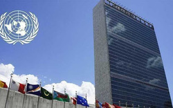 سکوت سازمان و سازمان بهداشت جهانی در پاسخ به تحریم‌های غیرانسانی آمریکا سیاسی است