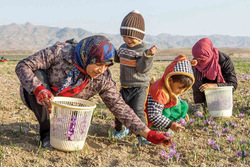روستایی‌ها شادابند، چون تنبل نیستند