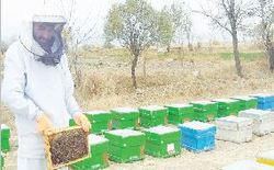 ایجاد ۱۷۶۰ شغل برکت در درگز خراسان‌رضوی