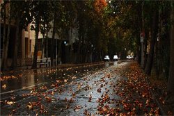 مهلت یک ماهه به طراحان ساماندهی نقطه‌ای خیابان ولیعصر