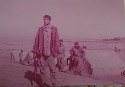 «چشم‌‌خاور» در نیزار سوخت تا  ما زنده بمانیم
