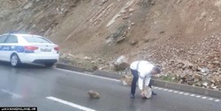 ریزش کوه در جاده امامزاده داوود