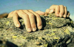 متوکل باش، اما سربار نباش