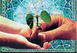 تأملی بر نقد‌های مطرح در تأسیس سازمان ملی تعلیم و تربیت کودک (توتک)