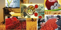 تعداد ۵۱۸ روستا بازار در کل کشور ایجاد می شود