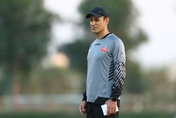 گل محمدی: رسول پناه با بولدوزر از روی پرسپولیس رد شد