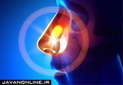 بو‌های عجیب و غریبی که بعد از بهبودی کرونا می‌آید