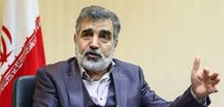 بازرسی‌های آژانس از ایران حدود ۳۰ درصد کاهش می‌یابد