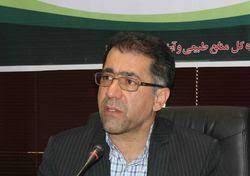 توزیع نیم میلیون نهال در استان البرز