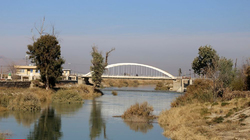 بخت «بختگان» در خواب ۱۶ ساله