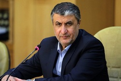 پرداخت تسهیلات ۱۵۰ میلیون تومانی مسکن به دهک های یک تا ۳/ بافت پیرامون حرم امام رضا (ع) به زودی ساماندهی می شود