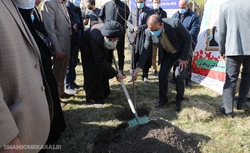 توزیع نهال در بین نمازگزاران نماز جمعه این هفته فردیس