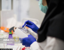 نرخ تست PCR در بخش خصوصی ۳۱۰هزار تومان