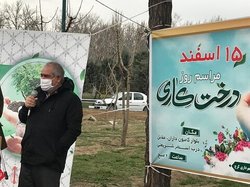 رویکرد شورای پنجم حفظ و توسعه سرانه فضای سبز بوده است