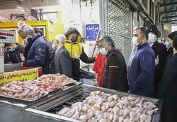 مشکل بازار مرغ، خرید احتیاطی مردم است یا کاهش تولید؟!