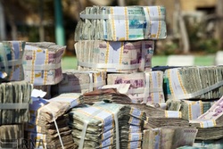 ریشه گرانی در رابطه بانک مرکزی و دولت است