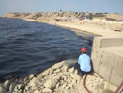 نشت نفت باز هم گریبان جزیره را گرفت!