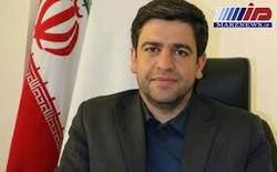 تولید گوشت سفید در اردبیل بیشتر از نیاز بازار است