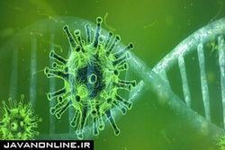 نقش ژنتیک در واکنش ایمنی بدن به کرونا