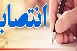 انتصاب&zwnj;های جدید وزیر ورزش در چند فدراسیون