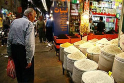 آغاز توزیع ۱۵۰ هزار تن شکر، برنج و روغن دولتی