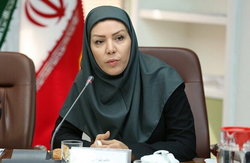 افزایش سرمایه صندوق ضمانت صادرات تصویب شد