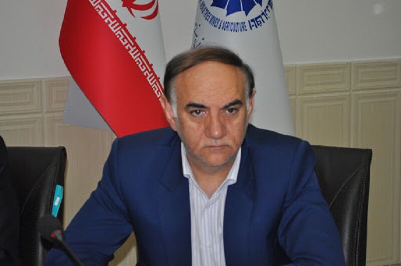 بازار بورس ظرفیت حل بسیاری از مشکلات واحدهای تولیدی را دارد