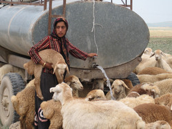 چرخ ناوگان خراسان‌شمالی برای آبرسانی به عشایر پنچر است