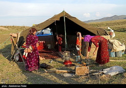 کمک مؤمنانه عشایر استان‌ها برای حمایت از عشایر نیازمند و آسیب‌دیده از کرونا