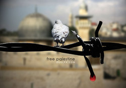 دموکراسی را برای فلسطین هم بخواهید