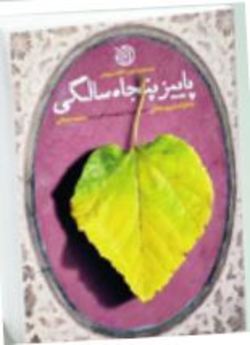 کتابی که حاج قاسم پیگیـر انتشار آن بود