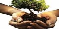 تصمیماتی که نمی توانیم اجرا کنیم