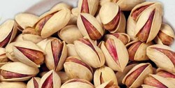 ۱۵۰ هزار تن پسته صادراتی روی دست کشاورزان ماند
