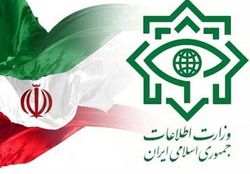 توضیحات وزارت اطلاعات درباره آزادی نظامی آمریکایی