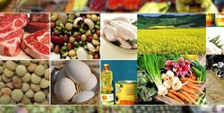 آقای مدرس گرانی ۵۰ تا ۱۰۰ درصدی را نمی‌بیند؟