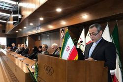 افزایش میزان پرداختی ماهیانه به مدال آوران بازی‌های المپیک