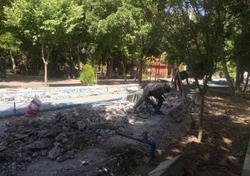 آبنماهای باغ گلستان ترمیم و ساماندهی میشوند