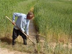 نخستین گروه از صندوق بیمه کشاورزان خراسان رضوی بازنشسته می‌شوند