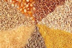 نهاده های دامی حمایتی در بین کشاورزان خلخال توزیع شد
