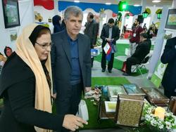 موزه بین المللی سیار سفیران فرهنگ صلح برگزیده اعلام شد