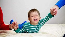 دوره فلکِ میرزا گذشته است