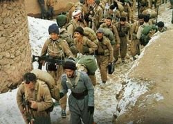 شیرمردی که نشناختمش