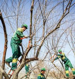بررسی مکانیزه و سیستمی ۴۶۰۰ پرونده کمیسیون ماده ۷