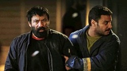 نرم، روان و متعادل مثل «شنای پروانه»
