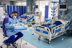 آمار بستری بیماران بدحال رو به افزایش است