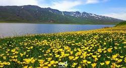 منطقه گردشگری  نئور  به‌زودی تحویل میراث فرهنگی استان می‌شود