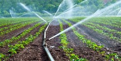 ۱۸۰ هزار هکتار از اراضی کشاورزی مستعد اجرای سیستم های نوین آبیاری
