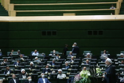 مجلس، دولت را به ریل اجرا بیاورد