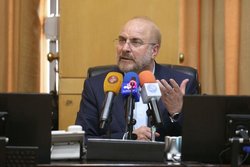 مبنای مجلس برای رسیدن به فهم مشترک رهنمود‌های رهبر انقلاب است